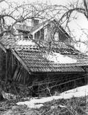 Gammal nedfallen stuga i Yxtabacken i Hovsta, 1981