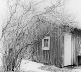 Dörr till gammal stuga i Yxtabacken i Hovsta, 1981