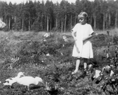 Flicka som matar ankor vid Solstugan, 1920-tal