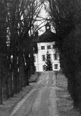 Allén upp till Kåvi Gård i Hovsta, 1970-tal