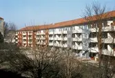 Hyreshus på Engelbrektsgatan 44-54 från gårdssidan, 1970