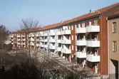 Hyreshus från gårdssidan på Engelbrektsgatan 44-54, 1970
