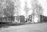 Sofiaparken vid Skolgatan 40, 44, 1980-tal