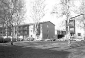 Sofiaparken vid Skolgatan 40, 44, 1980-tal