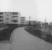 Väg genom Markbackens bostadsområde, 1960-tal