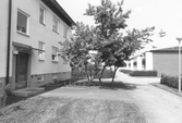 Blommande träd vid hyreshus på Torgvägen 12 i Odensbacken, 1970-TAL