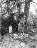 Kvinna vid stora björken i Vrethammar i Ramsberg, 1920-tal