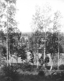 Utsikt över ängar i Ramsberg, 1920-tal