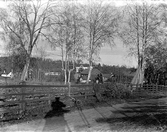 Pojke vid staket i Ramsberg, 1920-tal