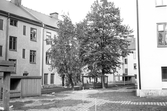 Hyreshus från gårdssidan på Tegelgatan 3, 5, 7, 1971-02-01