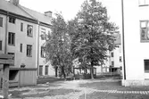 Hyreshus från gårdssidan på Tegelgatan 3, 5, 7, 1971-02-01