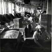 Dragéavdelningen 1930 talet.