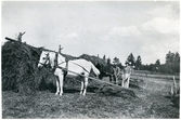 Munktorp sn, Norrsylta.
Höbärgning, 1938.