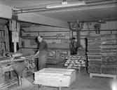 Kapare och cirkelsågen