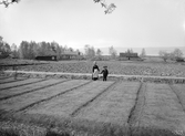 Västra Tollstad, månne