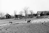 Ridhäst vid vägen upp till Vängstre gård i Hovsta, 1970-tal