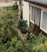 Trädgård på Bofinkstigen, 1990-tal