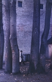 Man vid soptunnor mellan träden, 1950-tal