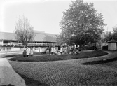 Lindes gård 1910