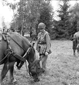 En soldat från Hälsinge Regemente, I 14, tillsammans med en häst