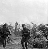 Två soldater från Hälsinge Regemente, I 14, ute på manöver