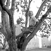 Syskonbild, bror och syster i ett träd