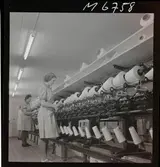 1708/A Mölnlycke Väverier