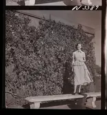 1708 N Mölnlycke väverier, mode; Stadshusträdgården, Stockholm; Mode för Mölnlycke