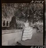 1708 N Mölnlycke väverier, mode; Stadshusträdgården, Stockholm; Mode för Mölnlycke