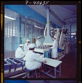 1708/6 Mölnlycke Italien