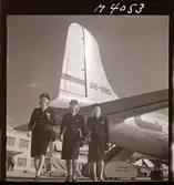 1678 Scandinavian Airlines System Bromma Flygvärdinnor m.m.