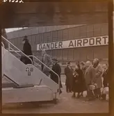 1678 S.A.S Gander Airport, New York; New York, Stockholm; Flygbilder