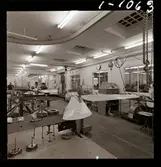 1678/E Scandinavian Airlines System Bromma; Lillemor + japanska; Bromma m.m.