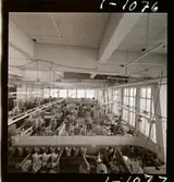 1678/E Scandinavian Airlines System Bromma; Lillemor + japanska; Bromma m.m.