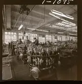 1678/E Scandinavian Airlines System Bromma; Lillemor + japanska; Bromma m.m.