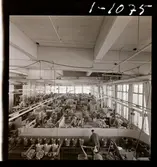 1678/E Scandinavian Airlines System Bromma; Lillemor + japanska; Bromma m.m.