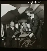 1678/H SAS Royal Viking de luxe