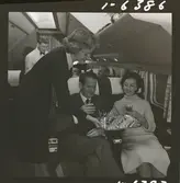 1678/H SAS Royal Viking de luxe