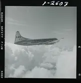 1678/H SAS Royal Viking de luxe