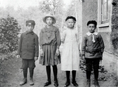 Barn i Falkängen