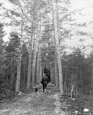 Den så kallade likvägen över Skagershultsmossen, 1970-tal