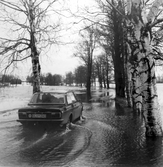Bil försöker köra genom översvämning i Ervalla, 1977