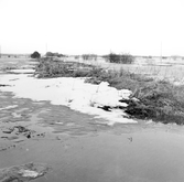 Översvämning i Ervalla, 1977