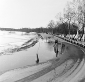 Barn leker på översvämmad väg i Ervalla, 1977