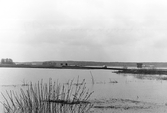 Översvämning i Ervalla,, 1977