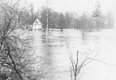 Översvämning vid hus i Järle i Ervalla,, 1977
