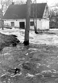 Strömmande vatten i Kvarnforsen vid översvämning i Järle i Ervalla, 1977