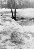 Strid ström i Kvarforsen vid översvämning i Järle i Ervalla, 1977