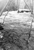 Kraftig vårflod vid översvämning i Järle i Ervalla, 1977