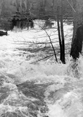 Översvämning vid vårflod i Hammarby i Nora, 1977